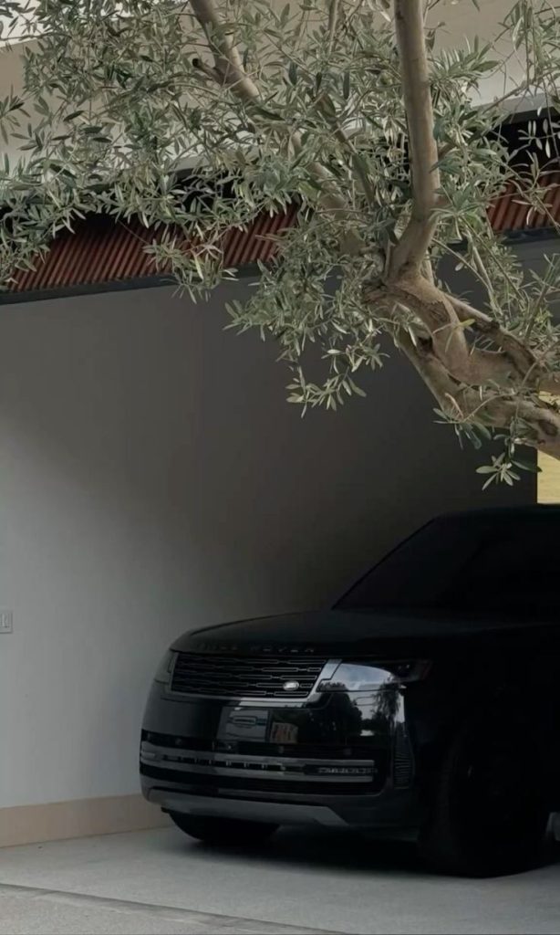 477873655c21a0faed49ec58e1086438